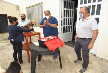 M&Aacute;S DE 40 CASTRACIONES GRATUITAS A MASCOTAS