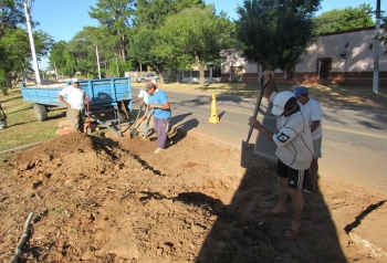 REPARAN BICISENDA SOBRE AV. 12 DE OCTUBRE