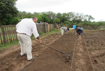 LAS HUERTAS MUNICIPALES VOLVER&Aacute;N A BROTAR