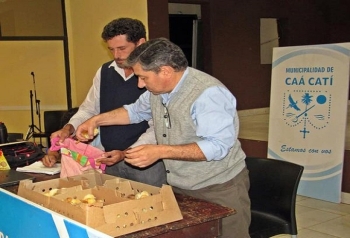 ENTREGAN EJEMPLARES DE POLLITOS A CRIADORES LOCALES