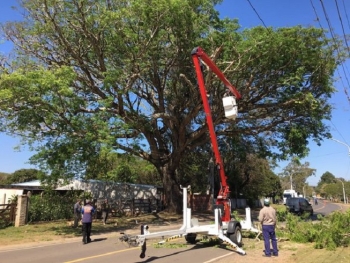 PODA PREVENTIVA PARA PROTEGER TENDIDO EL&Eacute;CTRICO